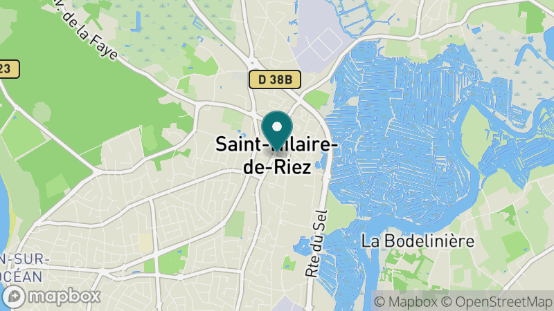 Carte - Saint Hilaire De Riez