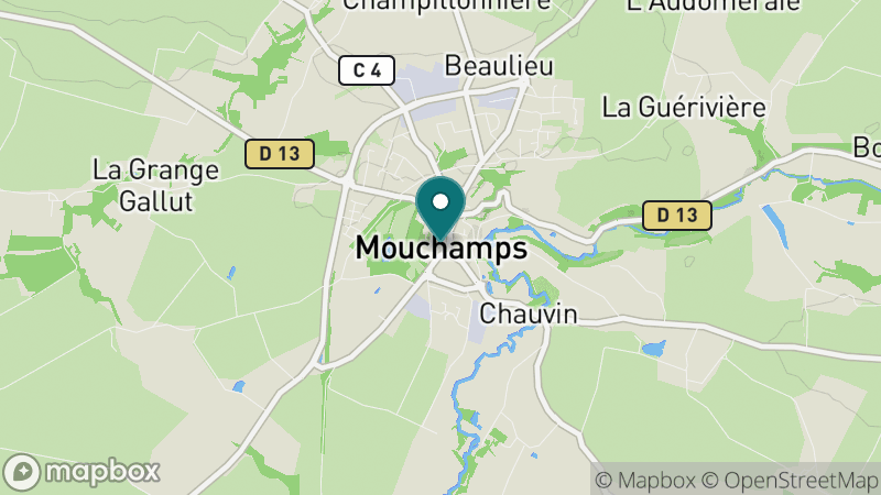 Carte - Mouchamps
