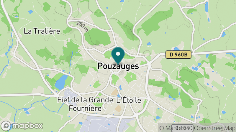Carte - Pouzauges