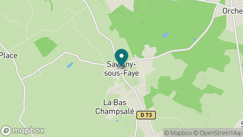 Carte - Savigny-sous-Faye