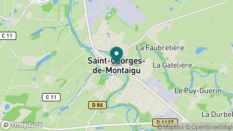 Carte - Saint Georges De Montaigu