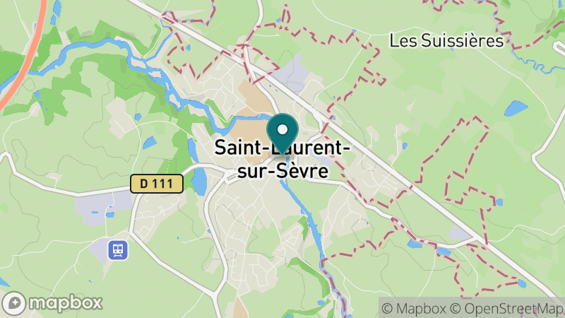 Carte - Saint Laurent Sur Sevre