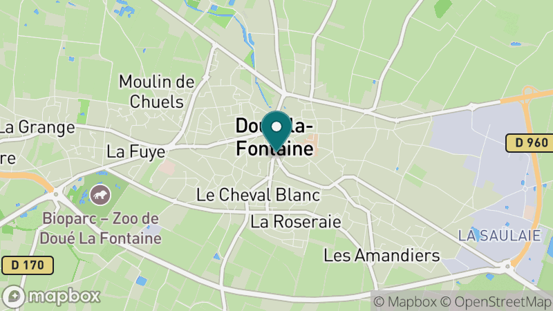 Carte - Doue La Fontaine