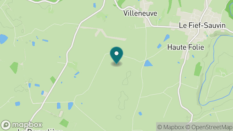 Carte - Le Fief Sauvin