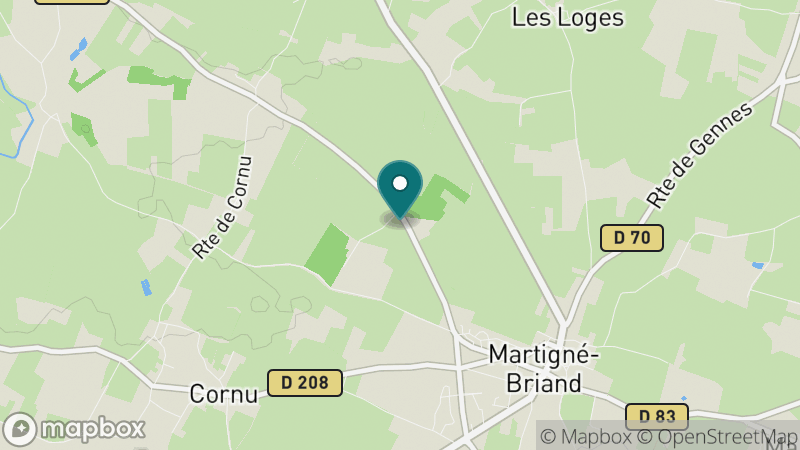 Carte - Martigne Briand