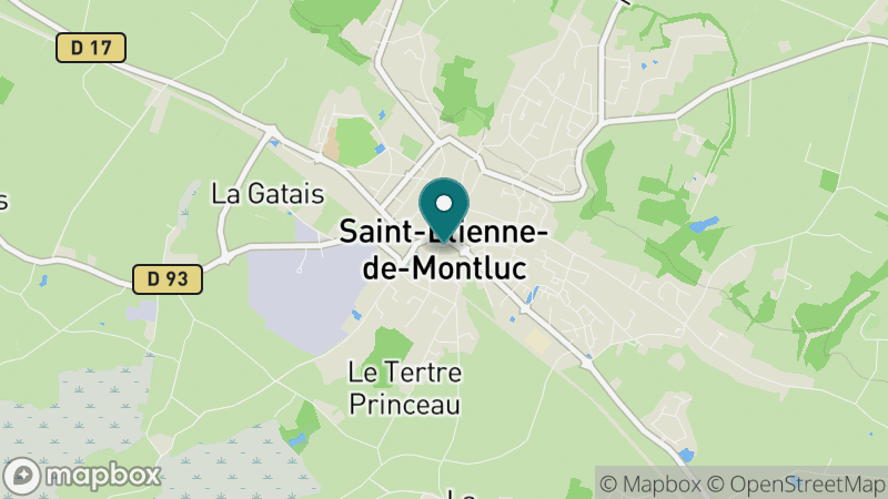 Carte - Saint Etienne De Montluc