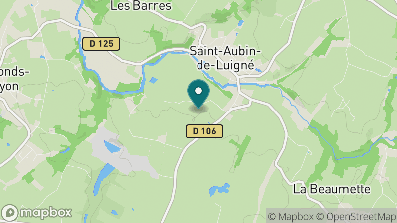 Carte - Saint Aubin De Luigne