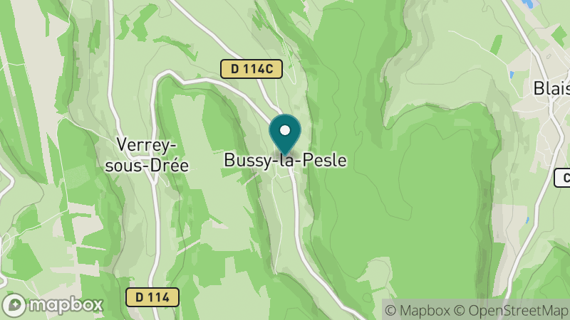 Carte - Bussy-la-Pesle