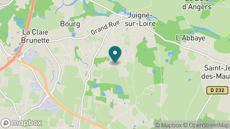 Carte - Juigne Sur Loire