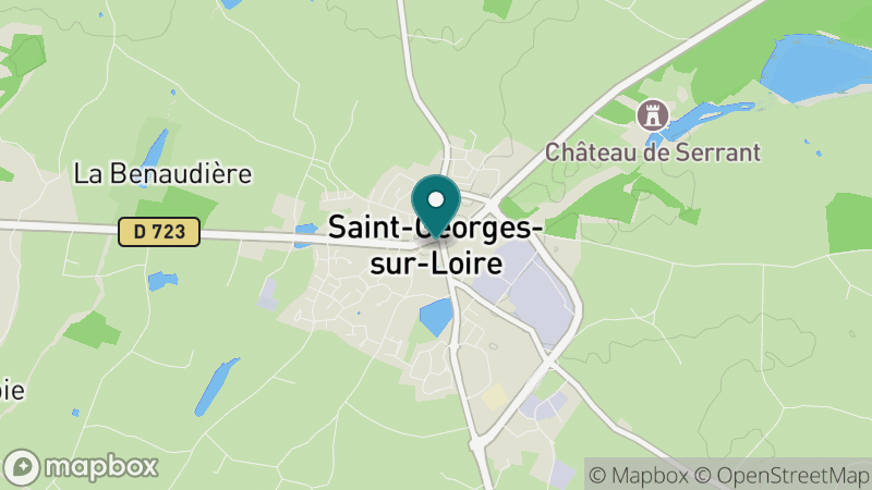 Carte - Saint Georges Sur Loire