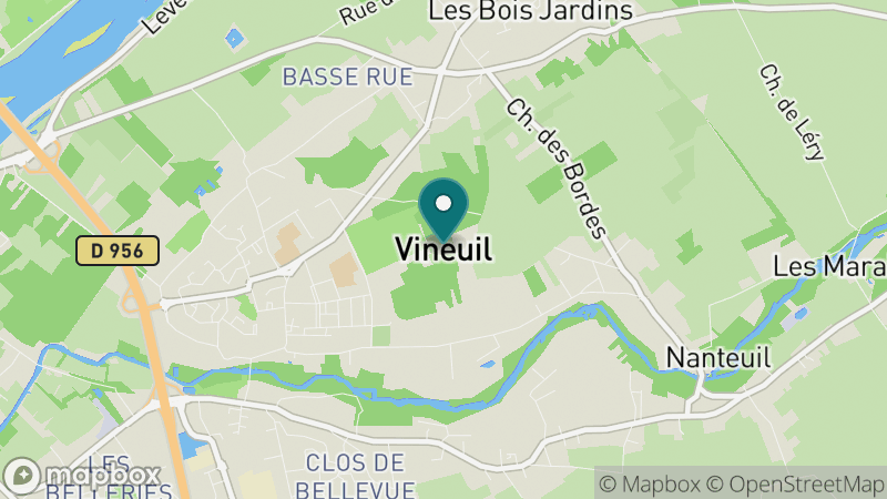 Carte - Vineuil
