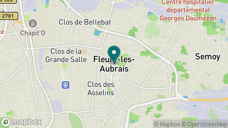 Carte - Fleury Les Aubrais