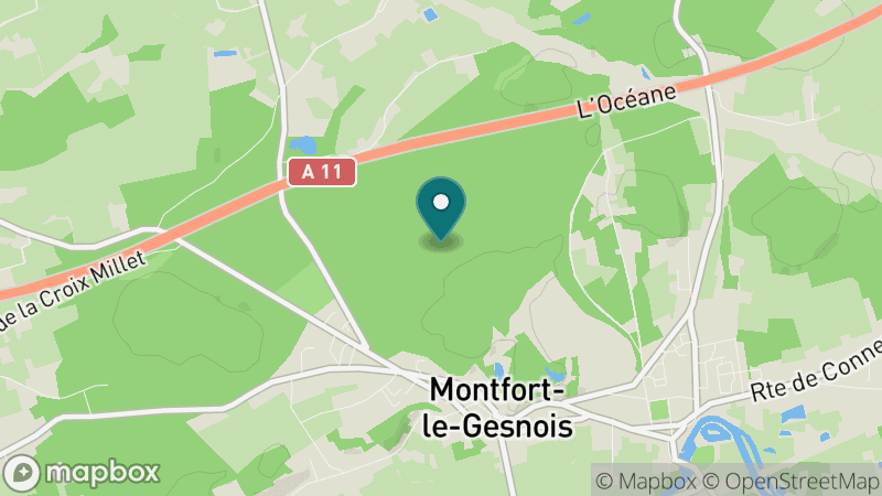 Carte - Montfort-le-Gesnois