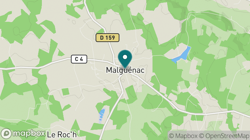 Carte - Malguenac