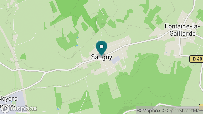 Carte - Saligny