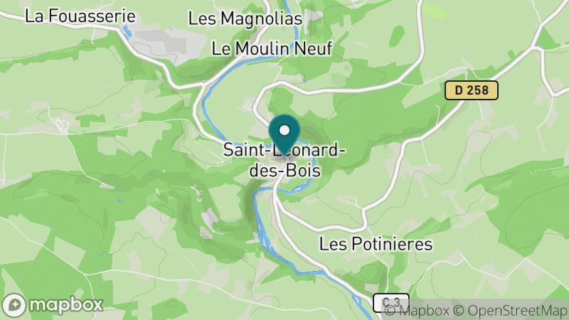 Carte - Saint Leonard Des Bois