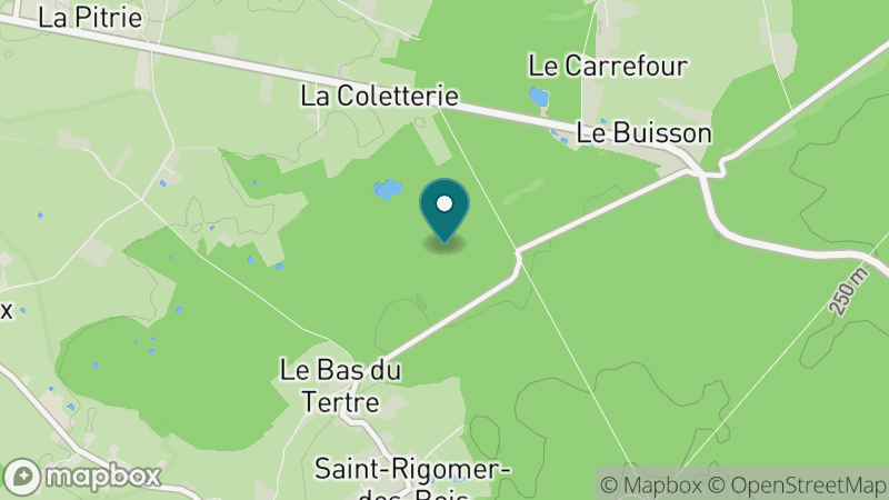 Carte - Saint Rigomer Des Bois