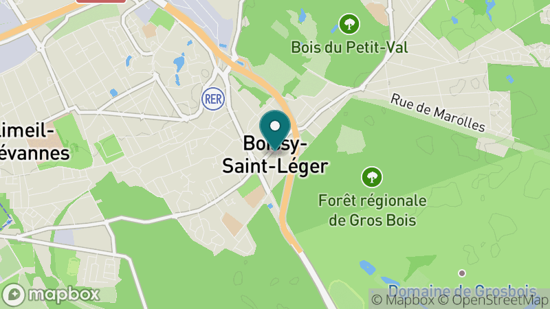 Carte - Boissy Saint Leger