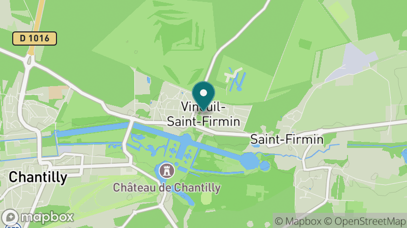 Carte - Vineuil Saint Firmin